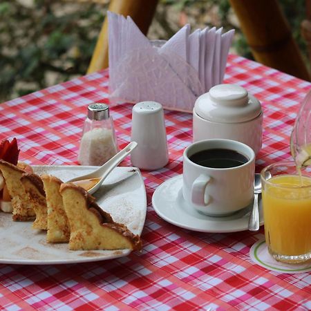 Nativa Bambu Ecolodge Montanita Ngoại thất bức ảnh